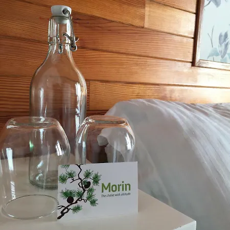 Morin * Morzine